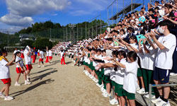 市商祭の様子