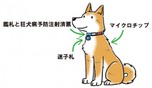 犬所有者明示