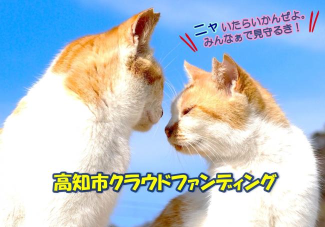 高知市クラウドファンディングのメイン画像