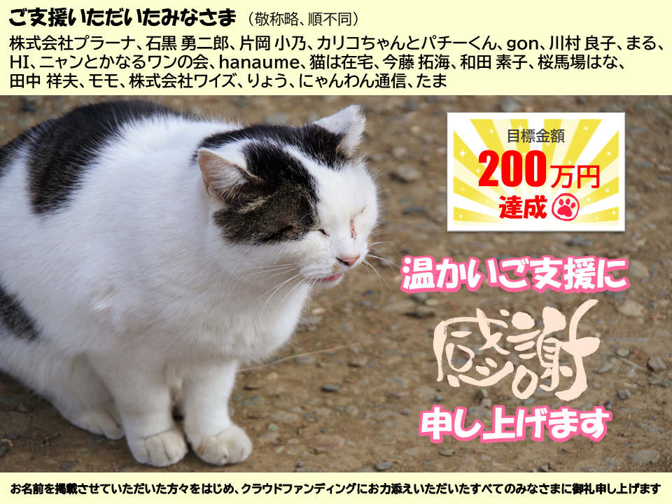 温かいご支援に感謝画像